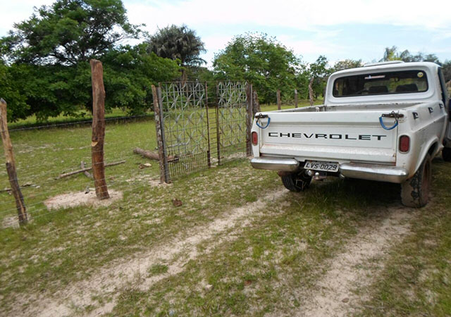 Quadrilha amordaça família e rouba fazenda no município de Pau D’arco